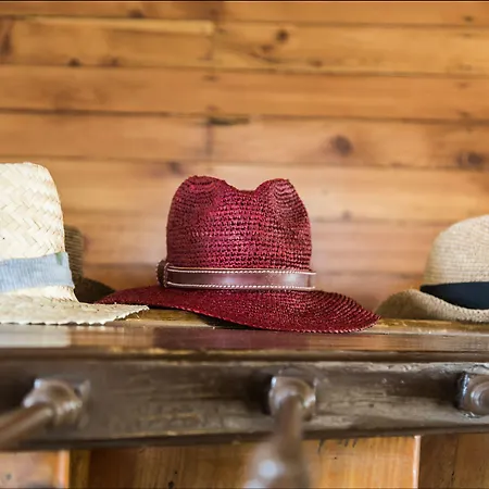 Azteca 바르셀로넷트